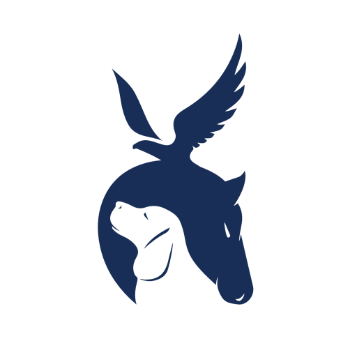 Das Logo von Daniel Hoffstadt